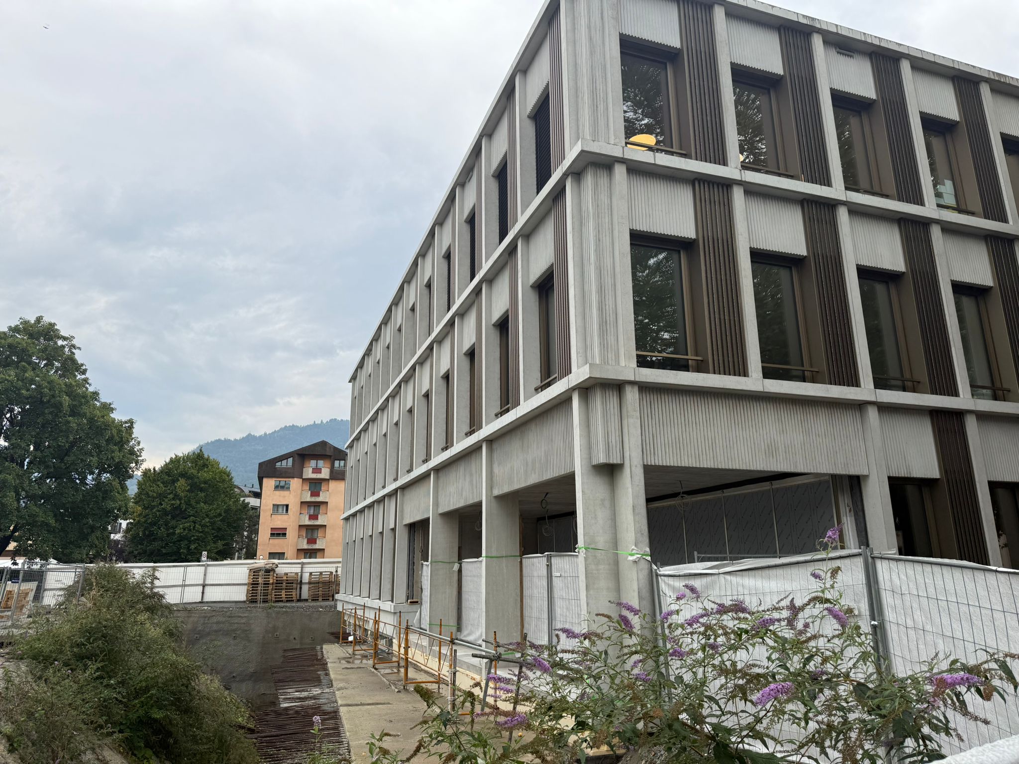 WhatsApp Image 2025-08-27 at 19.25.32_b0d6e980